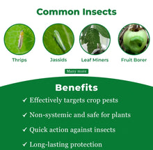 Load image into Gallery viewer, Pesticides CAS 52918-63-5 Deltamethrine Insecticide Deltamethrin 98% TC
