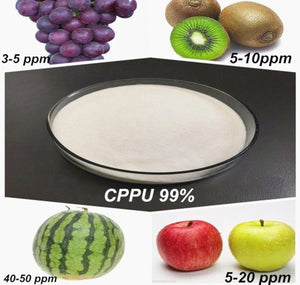 High Quality Natural Plant Growth Regulator Cppu (KT-30) Forchlorfenuron 0.1%Sp for Agricultural
