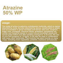 Load image into Gallery viewer, Wholesale Herbicide Atrazine 50%WP for Agriculture
