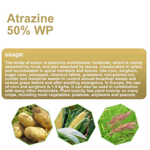 Wholesale Herbicide Atrazine 50%WP for Agriculture