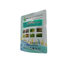 Load image into Gallery viewer, Plant Growth Regulator 0.1%Sp Cppu Kt-30 Forchlorfenuron on Sale
