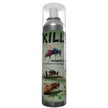 Load image into Gallery viewer, Household Tetramethrin Insecticide Spray Baygon Mosquito Repellent Killer Spray
