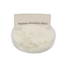 Load image into Gallery viewer, Mepiquat Chloride Pix 98%TC 25%SL Can Effectively Prevent the Wild Growth of Cotton and Control the Compact Plant Shape
