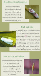 Insecticide Pyriproxyfen 20%EC,10%EC, 5%EW 5%ME, 95%TC Agriculture Pesticide