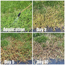 Load image into Gallery viewer, CAS NO.84087-01-4 Agrochemical Herbicide Quinclorac 50% WP Supplier
