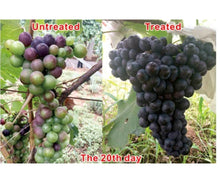 Load image into Gallery viewer, Good Price Plant Growth Regulator 90% TC 10% SP S-ABA Abscisic Acid
