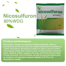 Load image into Gallery viewer, Nicosulfuron 95%TC 4%SC 75%WDG Herbicide Cas No 111991-09-4 Control Grassy Weeds in Various Crops in Agriculture Agrochemicals
