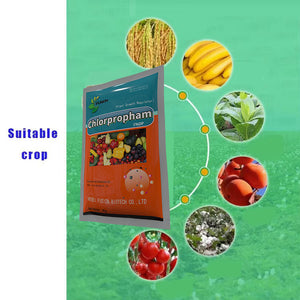 CAS 101-21-3 Chlorpropham Direct Factory Price Wholesale High Quality Powder Effective Plant Growth Regulator