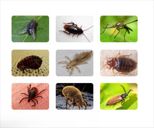 Load image into Gallery viewer, Wholesale Insecticide Beta Cypermethrin 6%WP Pesticide Bug Insect Killer

