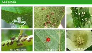 Insecticide Pesticide Acephate 75%SP Acetamiprid 25%Tc 20%SL 20%Sp 25%Wp Insecticide Pest Control Pesticide Agriculture