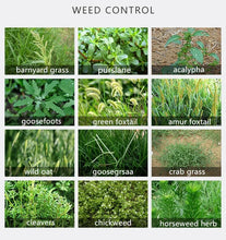 Load image into Gallery viewer, Soybean Field Herbicide Fenoxaprop-P-ethyl 120g/L EC &quot;Fenyl 120EC&quot; Weed Killer in the Field of Soy Bean Cotton Wheat Rapeseed
