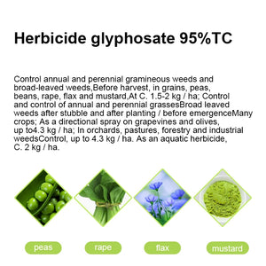 Herbicide Powder 95%TC Glyphosate