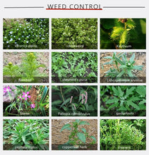 Load image into Gallery viewer, Dicamba 48% SL, Selective Systemic Wheat Field Herbicide
