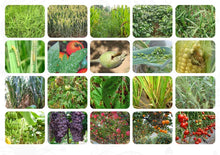 Load image into Gallery viewer, High Quality Cppu Plant Growth Regulator Brassinolide
