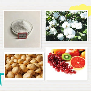 acetic acid Auxin Iaa 3 Indole Acetic Acid Iaa for Sale