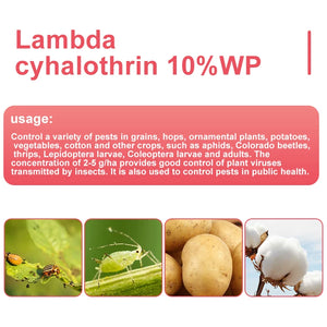 China Chemicals Insecticides Lambda-cyhalothrin 10%WP