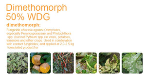 Agrochemical High Quality Fungicide Dimethomorph 50%Wdg CAS 110488-70-5