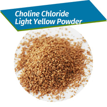 Load image into Gallery viewer, Factory Supply Choline Chloride 60% for Animal Feed
