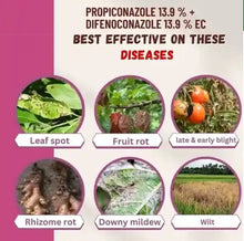 Load image into Gallery viewer, Pesticide Propiconazole 15% + Difenoconazole 15% EC
