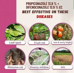 Pesticide Propiconazole 15% + Difenoconazole 15% EC