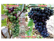 Load image into Gallery viewer, Good Price Plant Growth Regulator 90% TC 10% SP S-ABA Abscisic Acid
