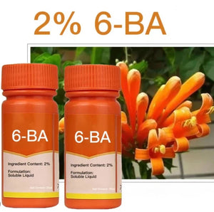 6 Benzylaminopurine 6BA 98%TC 2%SC 2%SP PLANT GROWTH REGULATOR