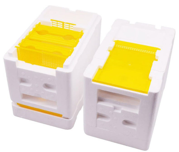 3 Box Plastic Feeder Foam Mini Bee Mating Box Beekeeping Beehive Wholesale