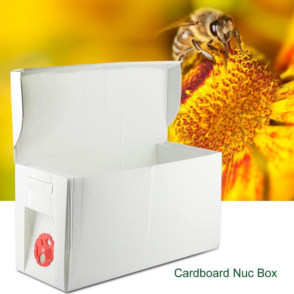 Plastic Folding Hive, Separate Bee Rearing, Queen Bee, Mating Pollination, Pollination Box, Bee Rearing Tools