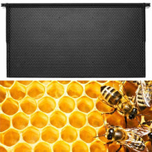 Load image into Gallery viewer, 483*232 mm Bee Frame Black Plastic Heavy Wax Coated  Foundation 10 Pack
