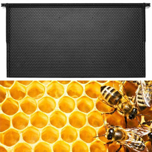 483*232 mm Bee Frame Black Plastic Heavy Wax Coated  Foundation 10 Pack