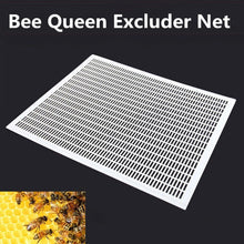 Load image into Gallery viewer, Wholesale Plastic Honeycomb Partition Board, White 510 * 420mm Beekeeping Tools
