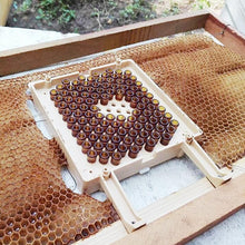 Load image into Gallery viewer, Beekeeping Jenter Queen Rearing Incubation System Box Cage Complete Jenter Queen Rearing Kit Bee Breeding Kit Bee Tools Supplies
