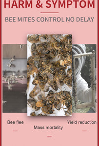 Wangshi Manufacturer 10 Strips per Bag MANJING Fluvalinate Strip Killing Bee Varroa Mites for Beekeepers