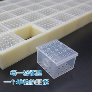 Wholesale Apicultural Tools - New All-purpose Multi-functional Plastic King Storage Device for Chinese Bees and Italian Bees