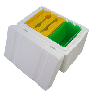 3 Box Plastic Feeder Foam Mini Bee Mating Box Beekeeping Beehive Wholesale