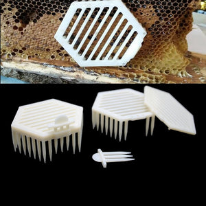 Bee Wholesale Double  Multifunctional Queen Cage Needle Queen Cage Does Not Harm The Queen Bee