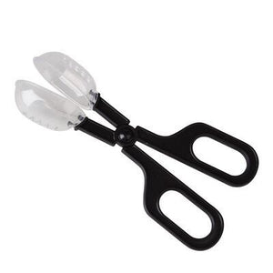 Wholesale Beekeeping Tools Scissor Type Italian Bee Queen Catcher Cage To Prevent The Queen Bee From Escaping