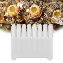 Load image into Gallery viewer, Wholesale Beekeeping Tools 8 Rows of Plastic Royal Jelly Cleaning Scraping Pens
