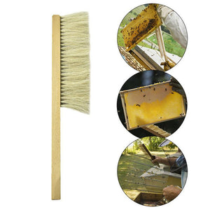 Beekeeping Equipment, Tools, Double Rows of Bee Brushes, Bristles and Horsetails with Plastic Handles.