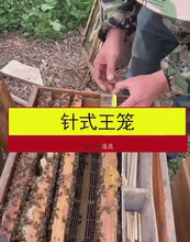 Load and play video in Gallery viewer, Bee Keeping Tools Needle Type Button Type Queen Bee Cage Queen Bee Marker Bottle Queen Bee Cage Marker Bottle Bee Breeding and Catching
